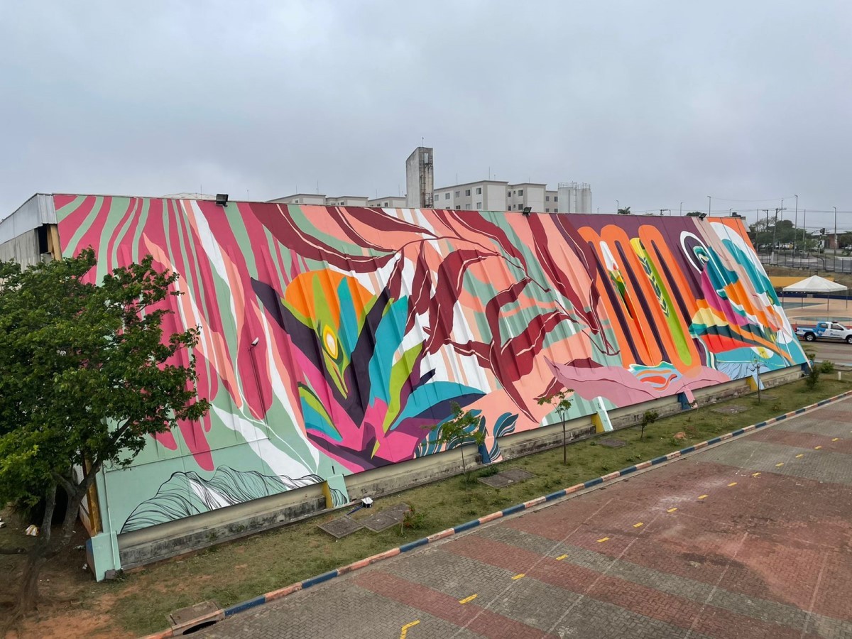 Grafite no CEU Caminho Mar realizado na Virada Sustentável (Foto: Alexandre Urch)