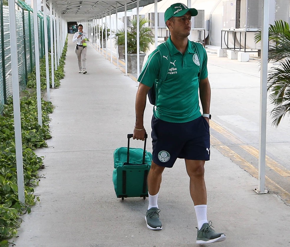 [ENQUETE] Para você, Guerra terá um bom desempenho no Bahia e voltará bem ao Palmeiras?