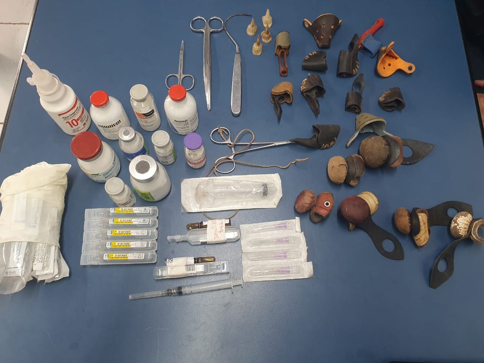 Policiais apreenderam remédios em casa onde funcionava prática criminosa de rinha de galos — Foto: Polícia Militar/Divulgação