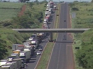 rodovia BR-153 paralisação caminhoneiros Araporã Itumbiara (Foto: Reprodução/ TV Integração)