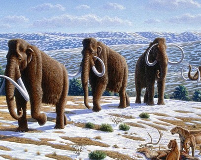 Cientistas obtêm primeiras imagens completas de presas de mamute-lanoso