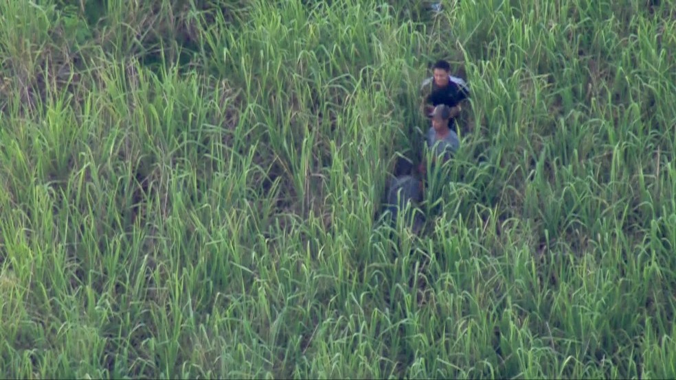 Suspeitos sÃ£o vistos na mata observando a movimentaÃ§Ã£o de policiais na Vila Kennedy â Foto: ReproduÃ§Ã£o/ TV Globo