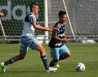 Alan Guimarães Palmeiras