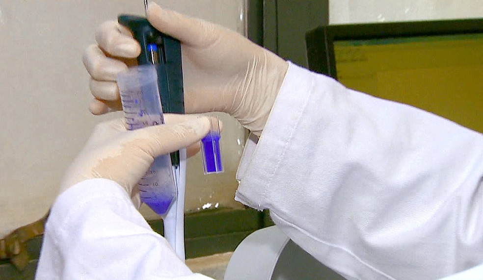Ideia é substituir injeção de insulina por bactérias geneticamente modificadas (Foto: Paulo Chiari/EPTV)