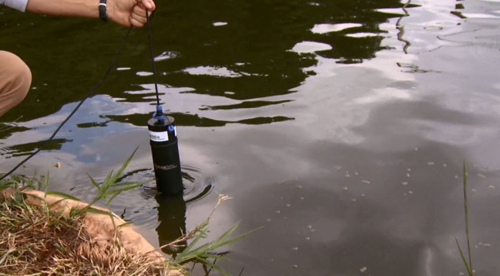 Pesquisadores da Embrapa de São Carlos desenvolvem sonda que analisa  qualidade da água | São Carlos e Araraquara | G1