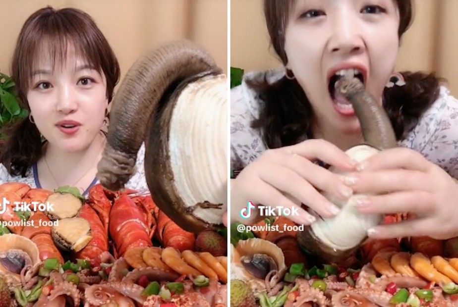 O molusco conhecido como geoduck surpreendeu os internautas que viram o vídeo