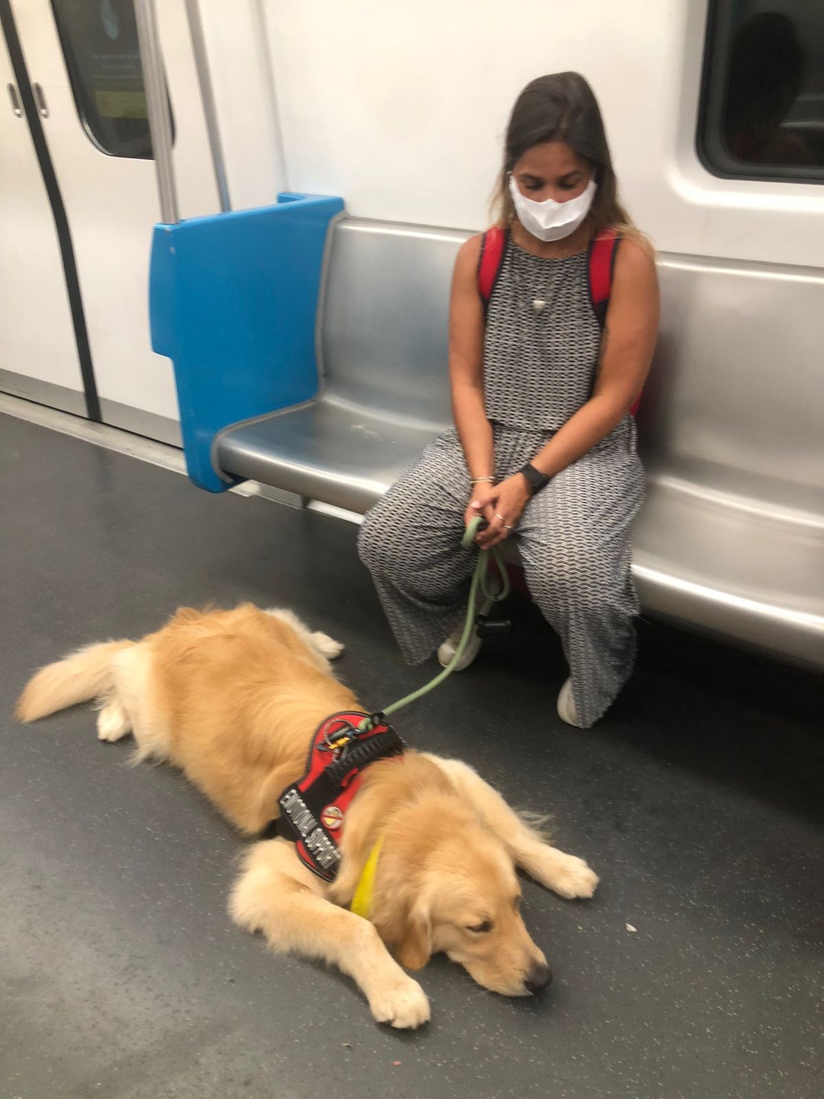 Lei permite que pessoas com transtornos mentais entrem em espaços públicos com cães de suporte emocional no RJ