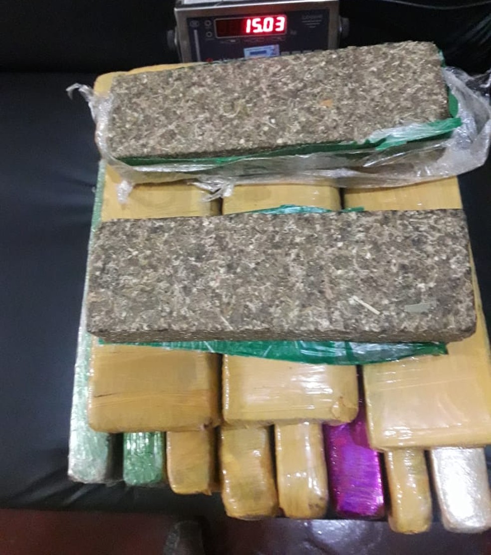 Drogas foram apreendidas em Mirante do Paranapanema (Foto: Polícia Civil/Cedida)