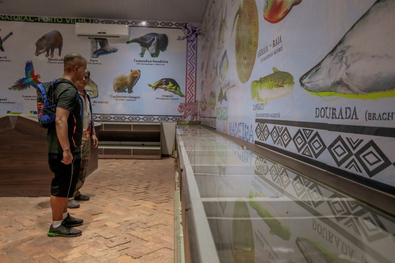 Museu do Acervo Biológico é reinaugurado em Porto Velho
