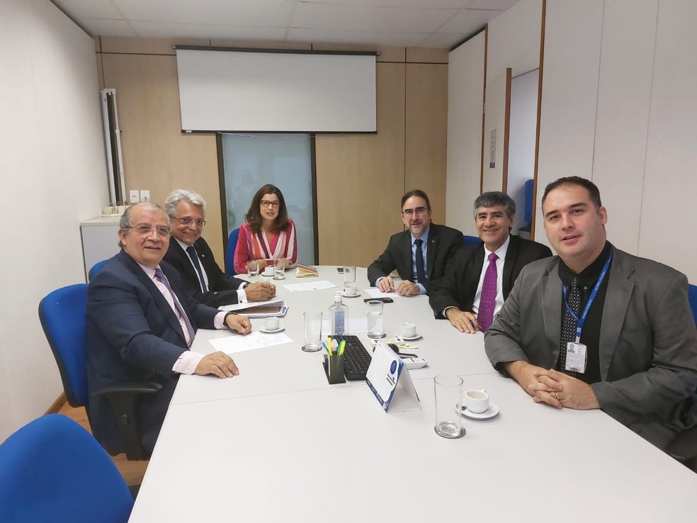 Reunião ocorreu nessa terça-feira (28), em Brasília. — Foto: Reprodução