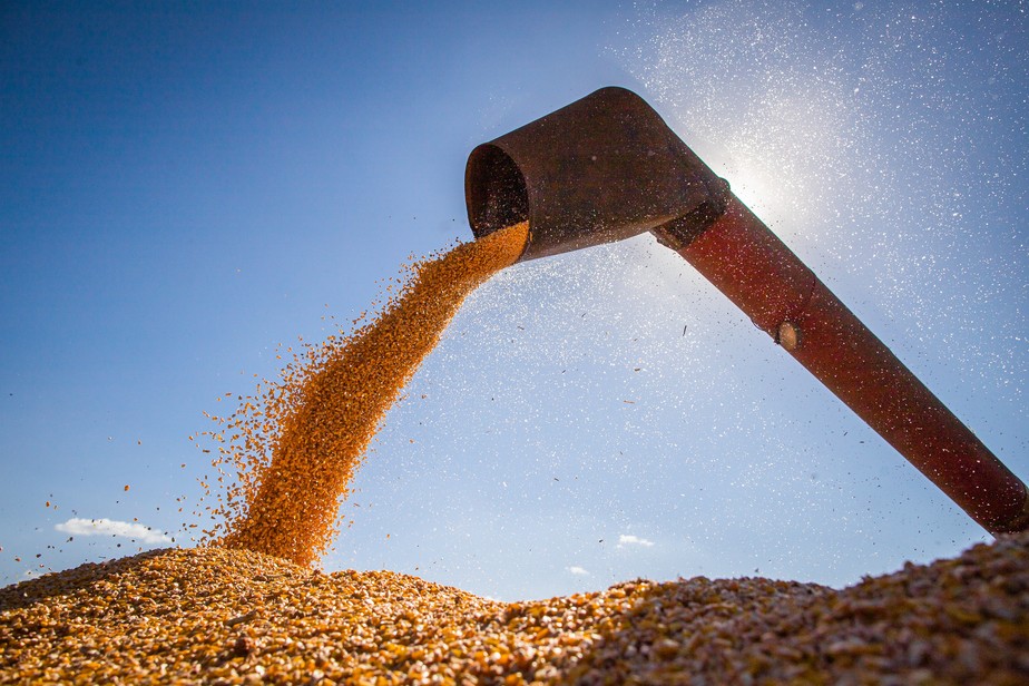 Abertura de mercado da China pode levar Brasil a aumentar sua participação nas exportações globais de milho