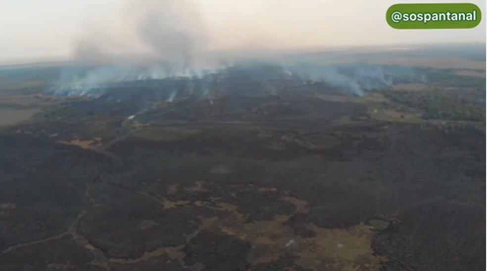 Incêndio atinge o Parque Estadual Encontro das Águas há 4 dias — Foto: SOS Pantanal/Reprodução