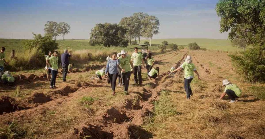 Corredor Caipira lança Guia com orientações para realização de projetos agroecológicos.