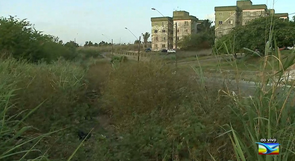 Mato tem tomado conta da calçada e está impedindo a passagem de pedestres no bairro Novo Angelim em São Luís — Foto: Reprodução/TV Mirante