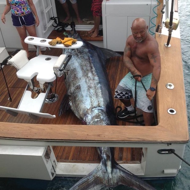 Marlim Menino de 16 anos pesca peixe raro de 480 quilos - Época Negócios ...