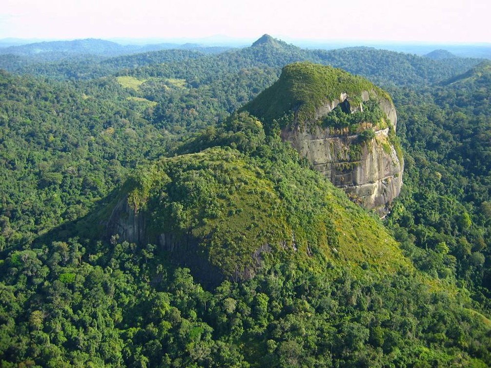 Parque Nacional Montanhas do Tumucumaque — Foto: Facebook/Reprodução