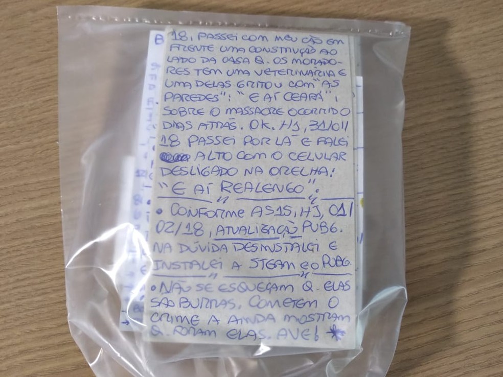 DiÃƒÂ¡rio mostra relatos de atirador da Catedral de Campinas Ã¢Â€Â” Foto: Lilian de Souza/EPTV