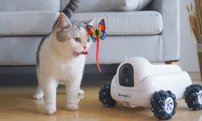 Pumpkii: companheiro robótico para pets