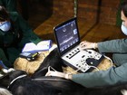 Coração de chimpanzé é examinado por veterinários em zoo da Inglaterra