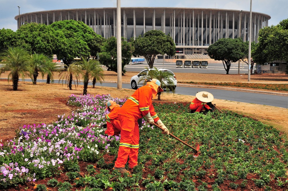 Canteiros Floridos Chamam A Atencao Nas Ruas De Brasilia Saiba Como Comecou A Tradicao Distrito Federal G1