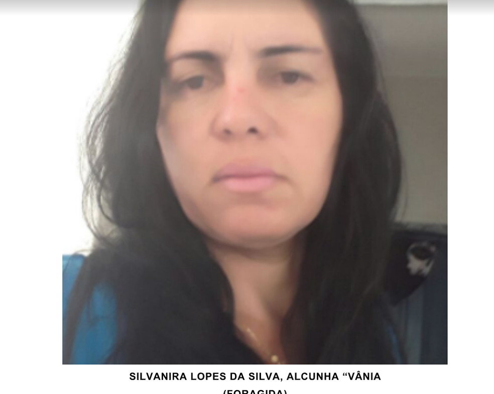 Silvanira Lopes da Silva (Foto: Polícia Civil/Divulgação)