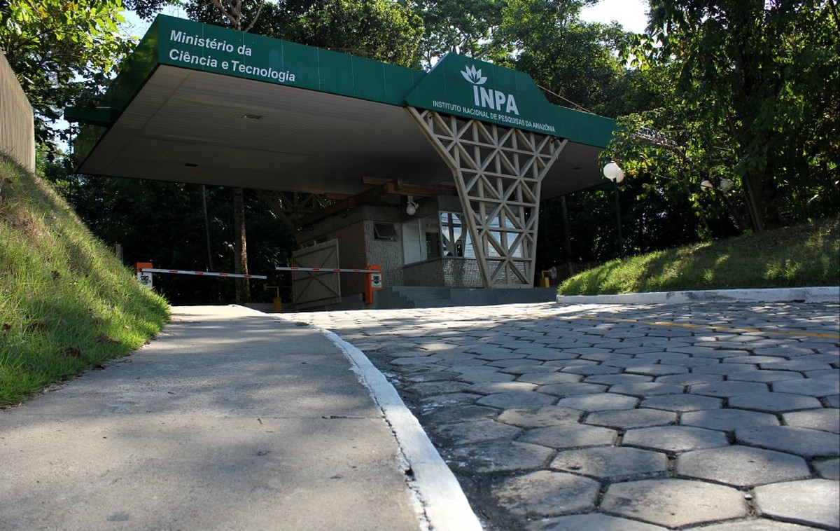 Inpa abre inscri&ccedil;&otilde;es de processo seletivo para cursos de mestrado com 104  vagas, no AM | Amazonas | G1