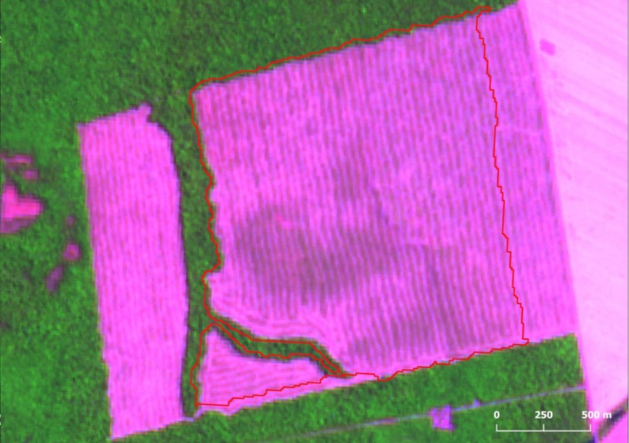 Área contornada de vermelho representa alerta de desmatamento de 2,65 km² identificado em agosto no município de Confresa (MT), o que equivale a 265 campos de futebol (Foto: Imazon/Reprodução)
