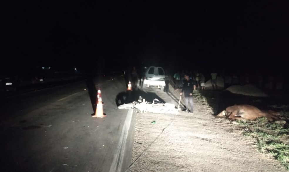 Motociclista morre após se chocar com cavalo na BR 316, em Trindade — Foto: Polícia Rodoviária Federal
