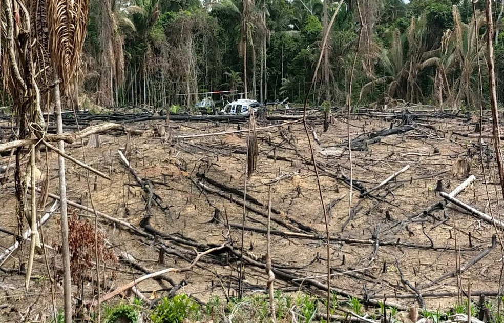 Imagem de fiscalização do Ibama na terra indígena Ituna-Itatá em 21 de janeiro de 2020 mostra sinais de desmatamento ilegal. — Foto: Divulgação/Ibama