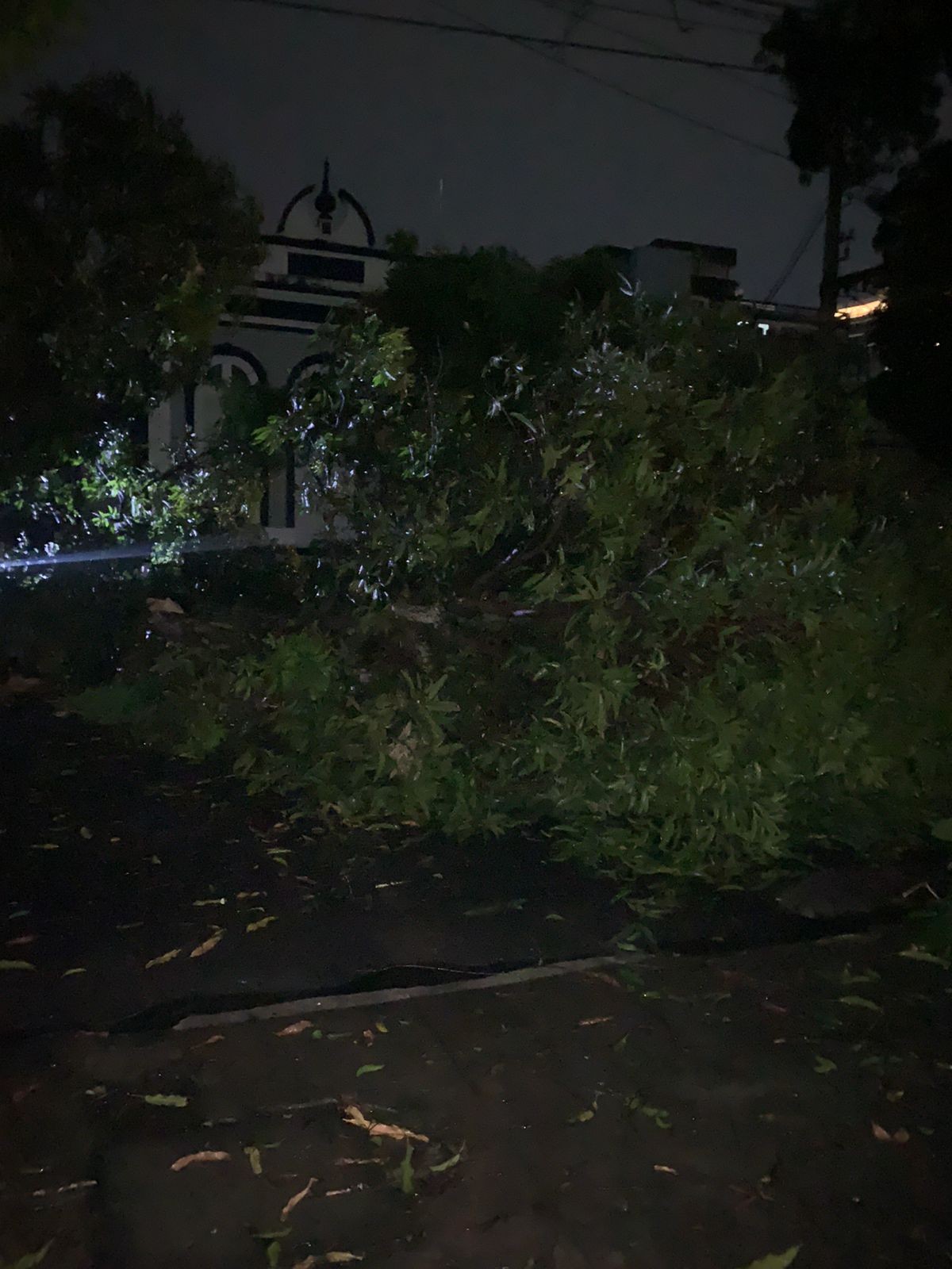 Forte chuva derruba árvores, provoca queda de energia e alagamentos, em Belém