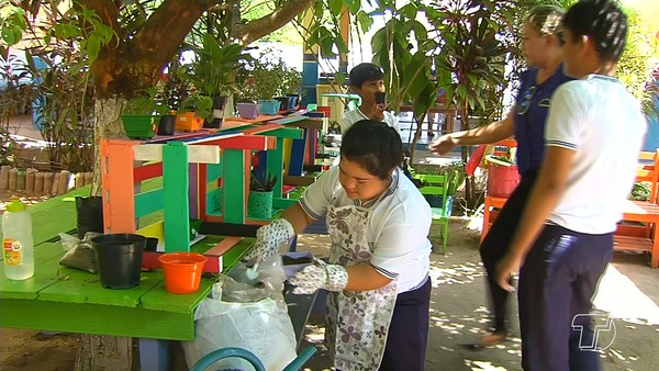 Semana Da Inclusao Incentiva Integracao E O Respeito Aos Alunos Portadores De Deficiencia Santarem E Regiao G1