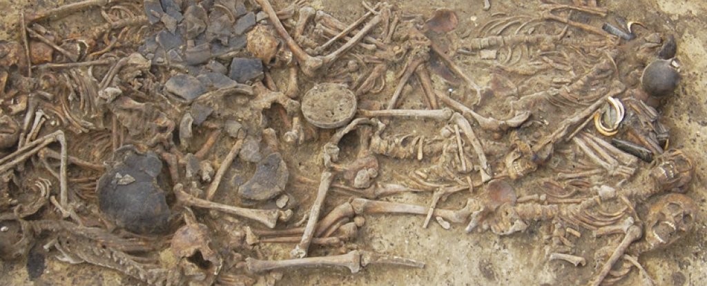 Os crânios dos mortos estavam todos massacrados. (Foto: Schroeder et al., PNAS)
