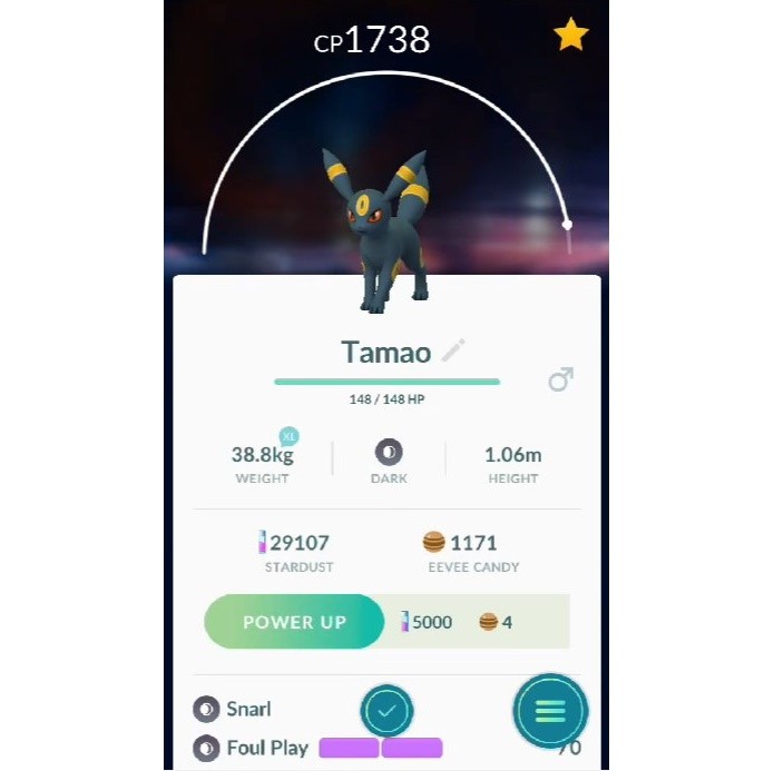 Nomeie seu Eevee como Tamao para forçar a aparição de Umbreon em Pokémon Go (Foto: Reprodução/Felipe Demartini)