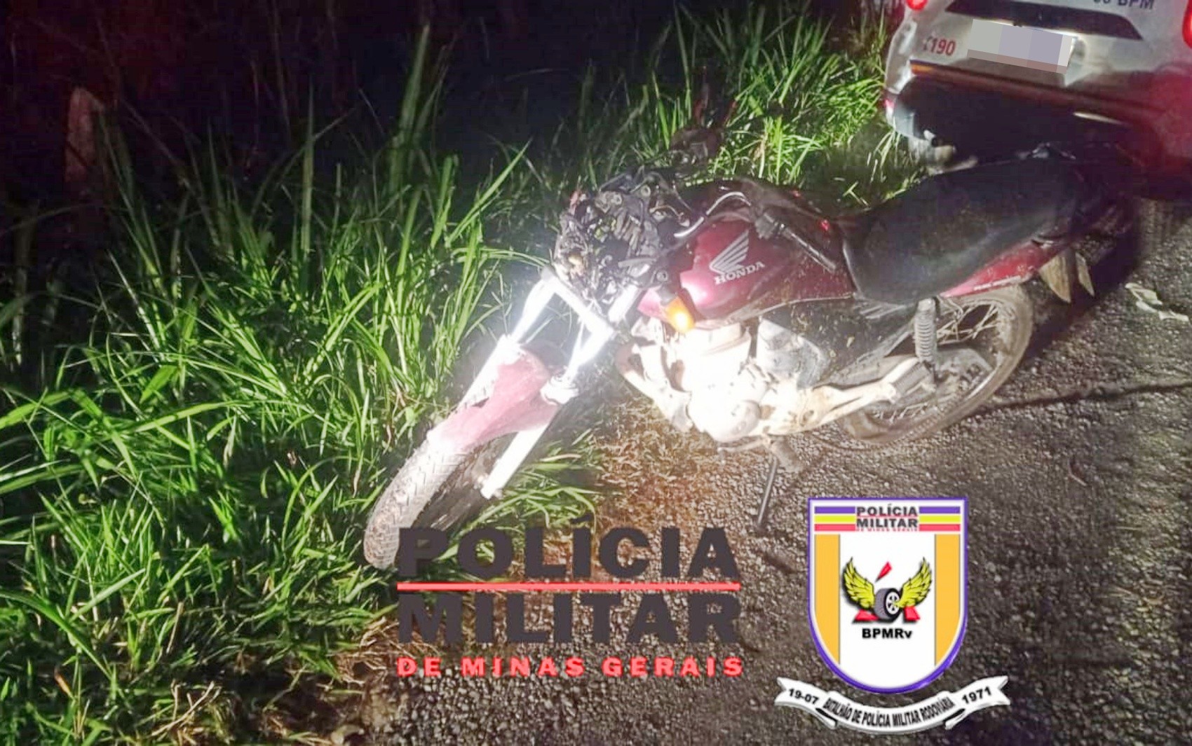 Cavalo morre atropelado por moto após tentar cruzar BR-459, em Itajubá, MG