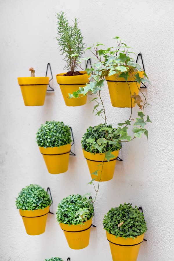Vertical image potted flowers in yellow pots hanging in rows on whitewashed wall outdoors yard, no people, beautiful decoration element (Foto: Getty Images)