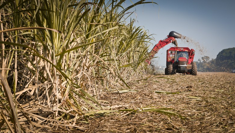 agricultura_cana_maquina (Foto: Guilber Hidaka/Ed. Globo)