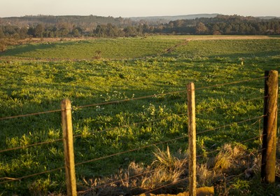 agricultura_terra (Foto: Marcelo Curia / Ed. Globo)
