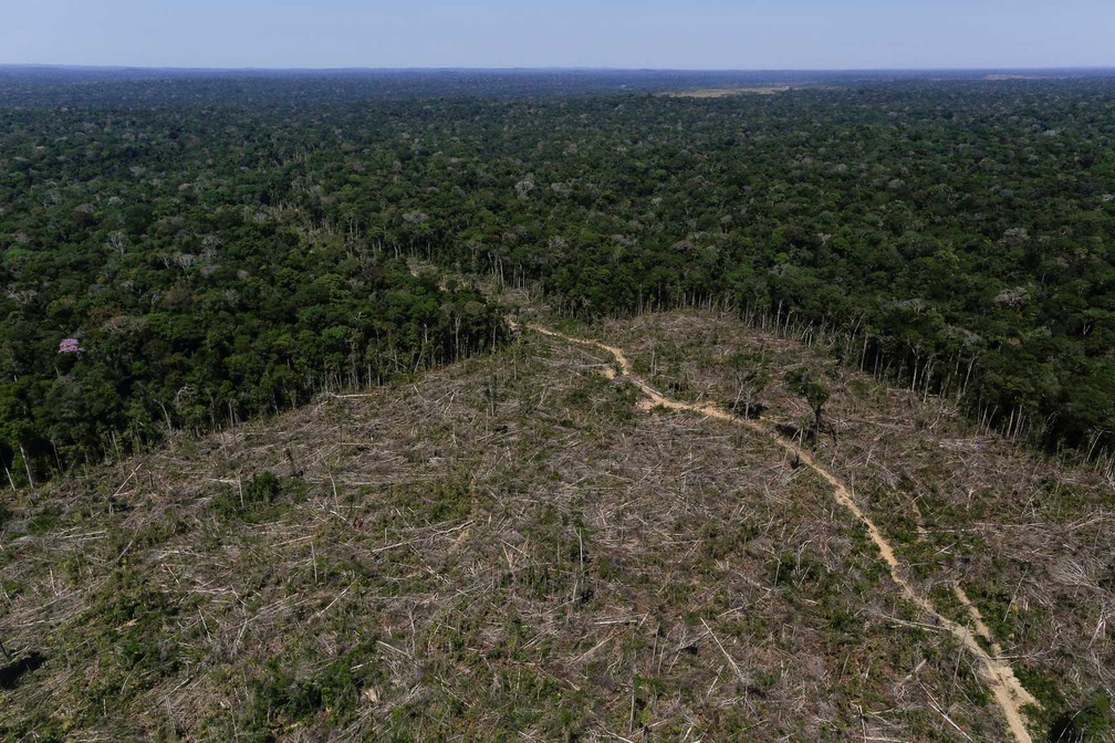 Desmatamento em Apuí, no Amazonas, região em que fiscais do Ibama realizaram operação em 27 de junho. — Foto: Bruno Kelly/Reuters