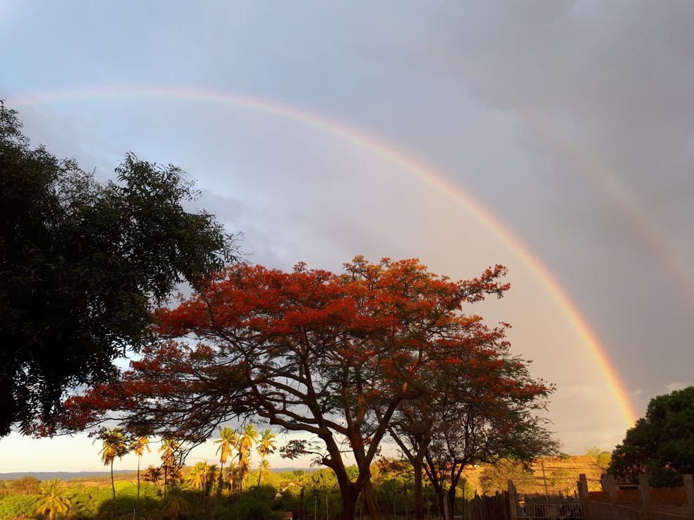 Professor Registra Imagens De Arco Iris No Interior Do Ceara Ceara G1 ¿estás buscando imágenes de arco iris png o vectores? professor registra imagens de arco iris