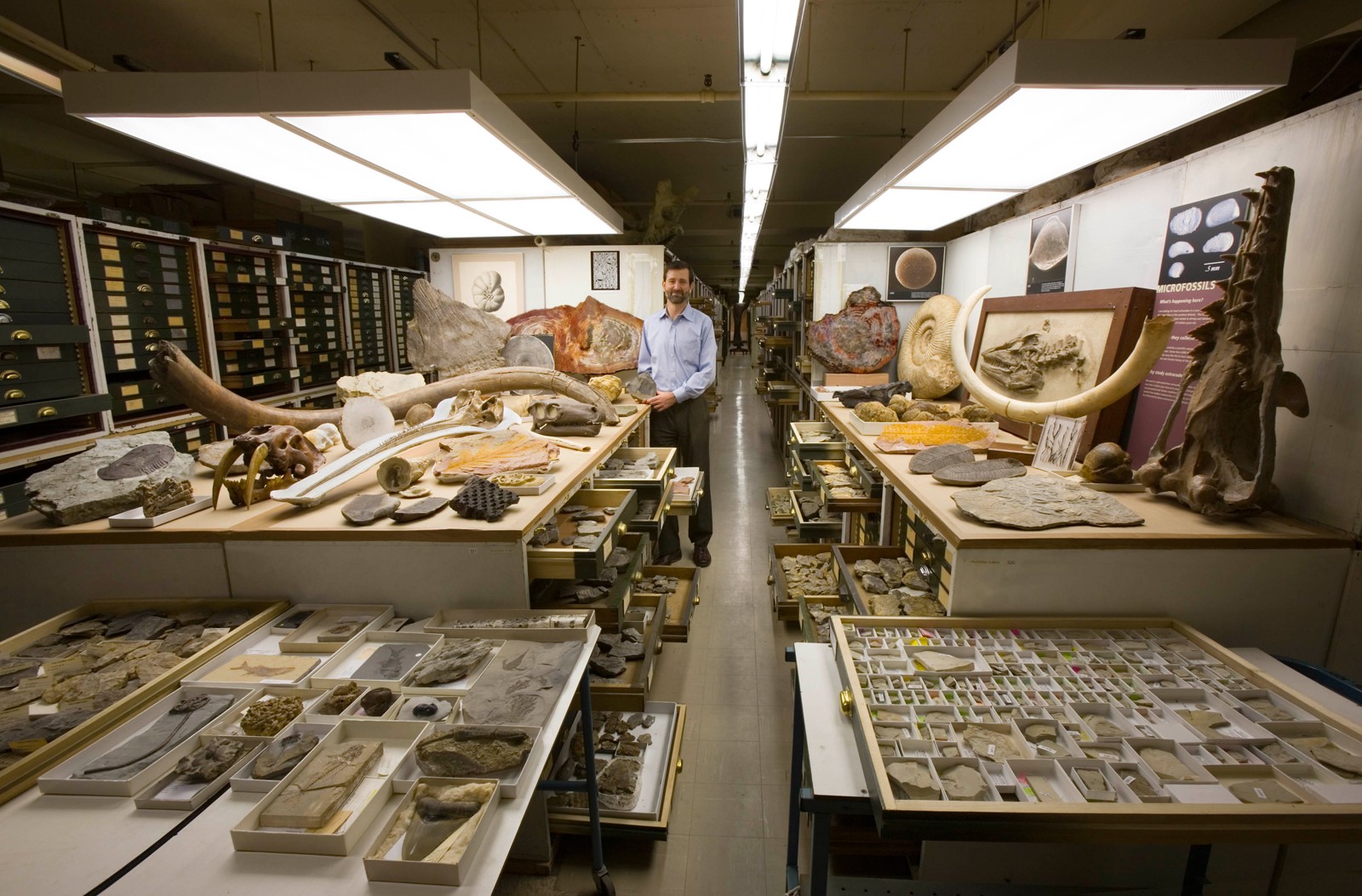 Setor de Paleontologia do Museu Nacional de História Natural (Foto: Divulgação/Smithsonian Institute)