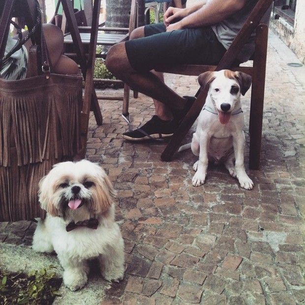 pizzaria pet friendly perdizes - Guia Pet Friendly