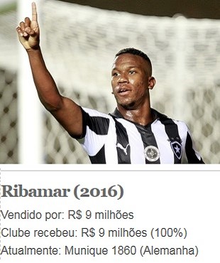 Ribamar, Botafogo (Foto: Arte Esporte)