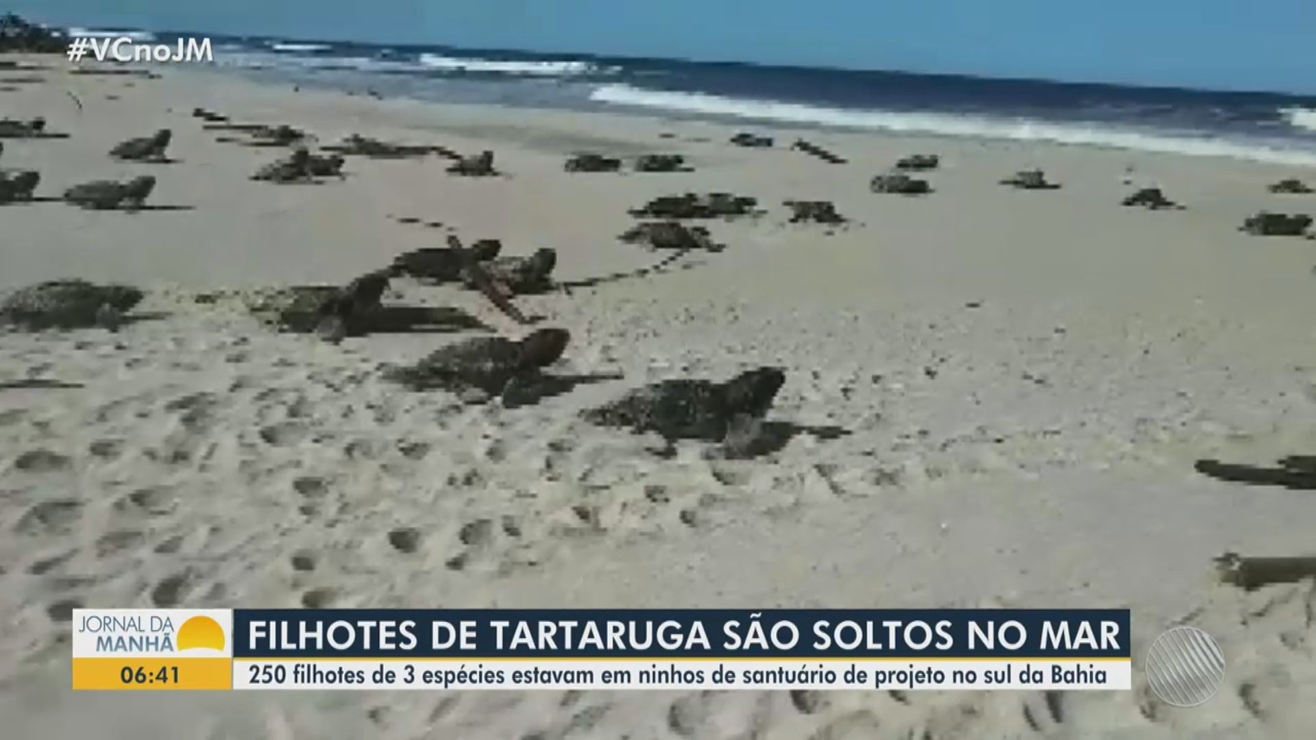 Vídeos do g1 e TV Bahia - segunda-feira, 21 de março de 2022