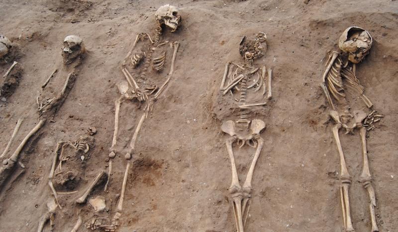 Segundo especialistas, doença matou metade da população do país entre 1348 e 1349 (Foto: Antiquity/University of Sheffield)