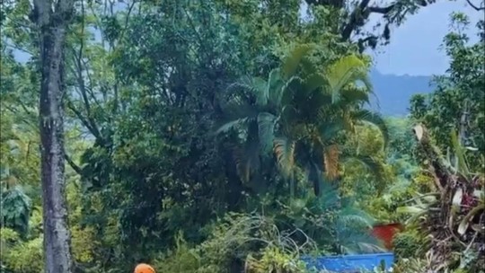 Giovanna Ewbank mostra árvore que caiu em frente a sua casa após chuva forte