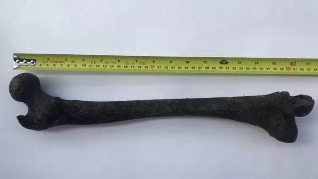 Um arqueólogo estimou a altura da pessoa a quem pertencia o osso em cerca de 170 cm, medindo o comprimento do fêmur (Foto: SIMON HUNT/BBC)