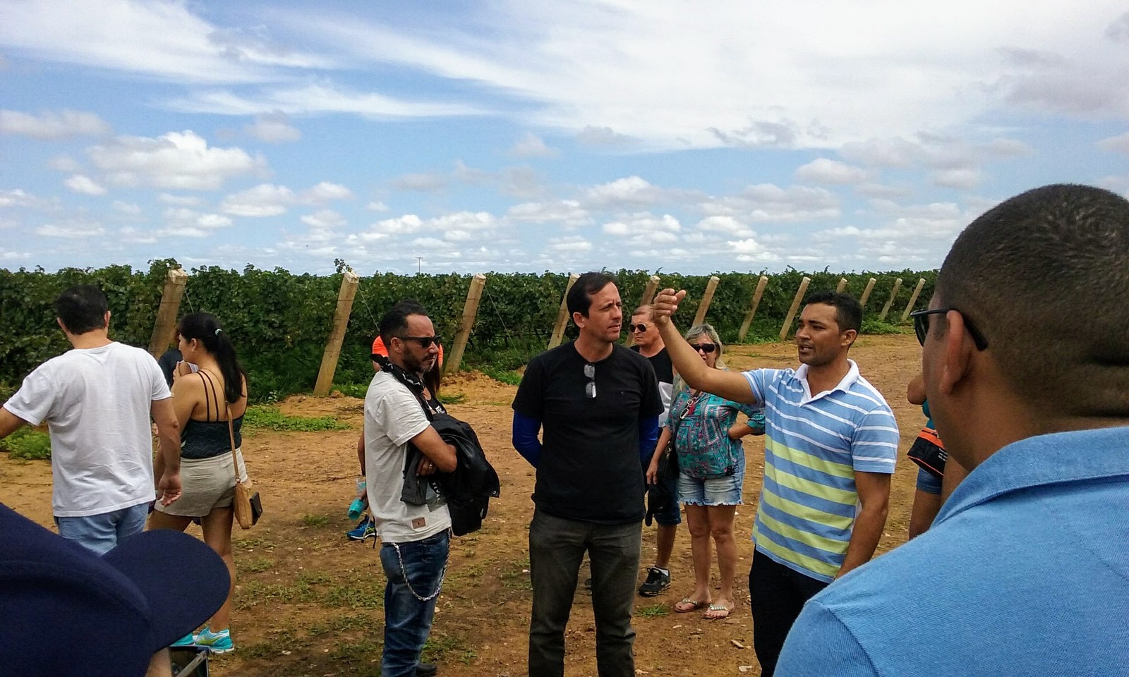 Os turistas recebem orientações sobre os processos de produção da uva (Foto: Emerson Rocha)