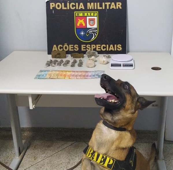 Cão farejador Iron encontra drogas escondidas no Conjunto Habitacional João Domingos Netto e ajuda na prisão em flagrante de traficante