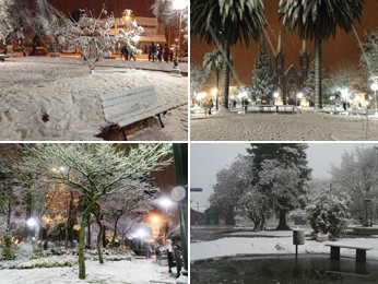 Neve muda a paisagem no RS (Foto: G1)