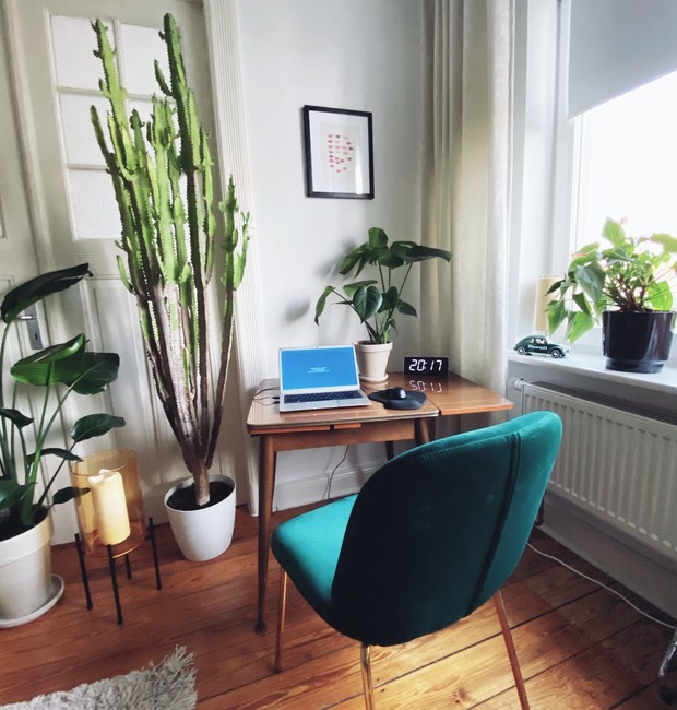 Uma boa forma de trazer o verde para dentro de casa é com vasos de plantas na mesa de trabalho (Foto: Catherina Schürmann / Unsplash / Creative Commons)
